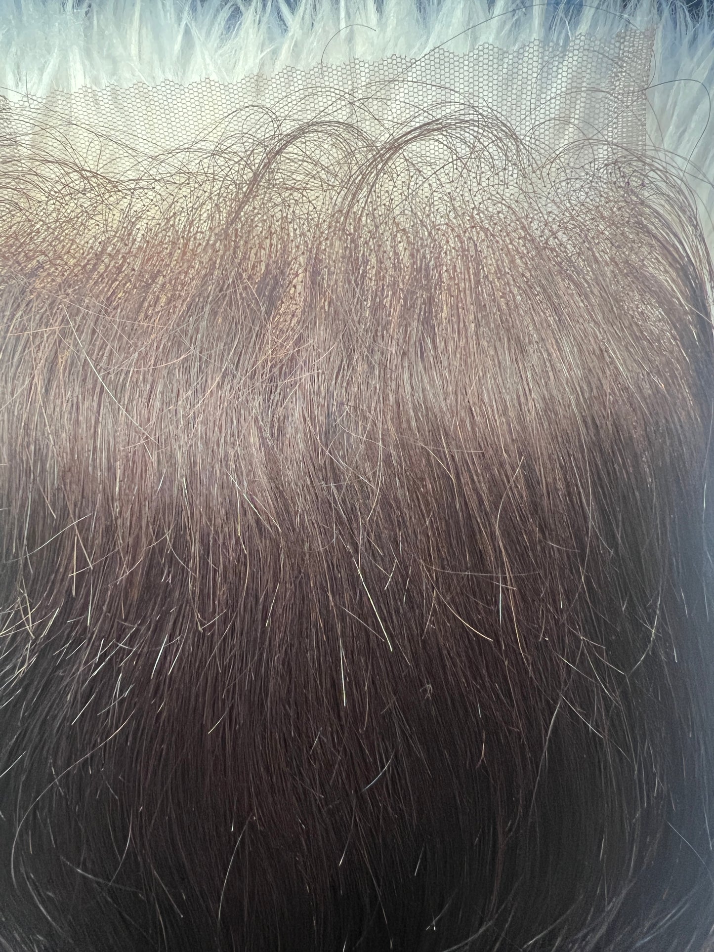 5x5 Transparent Closures