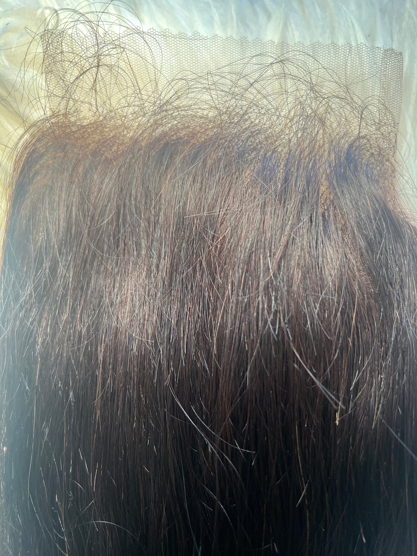 5x5 Transparent Closures